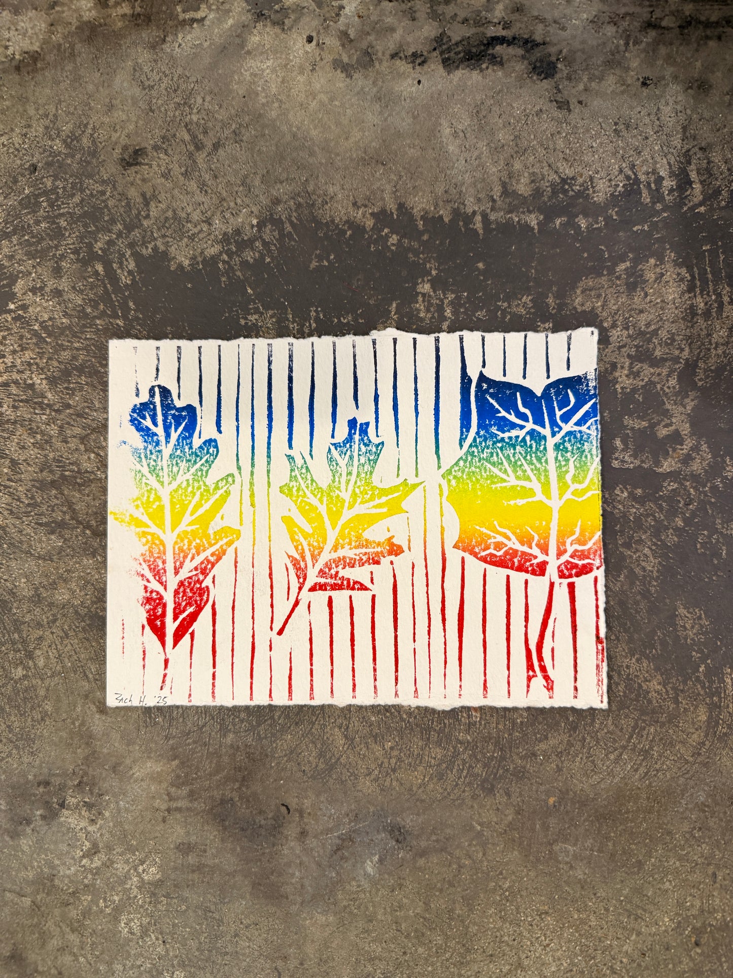 Woodturning Rolled Print by Zach Haynes